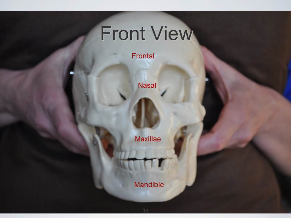 What Does It Mean If Your Jaw Keeps Cracking load filewallstreet